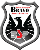 Logo BSP